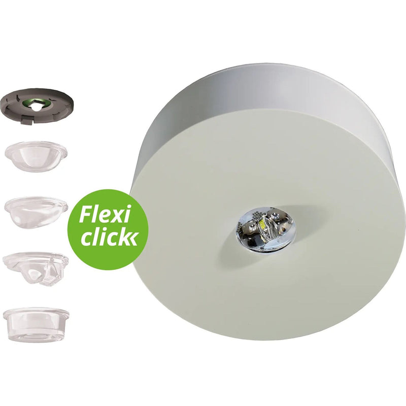 RP-Technik - Sicherheitsleuchte ILDL029ML ZB