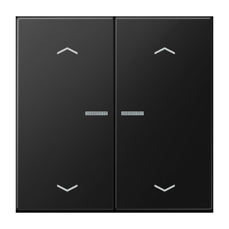 Jung - Bedienelement intelligent Taster 2fach BT LS 17102 P SWM JUNG HOME