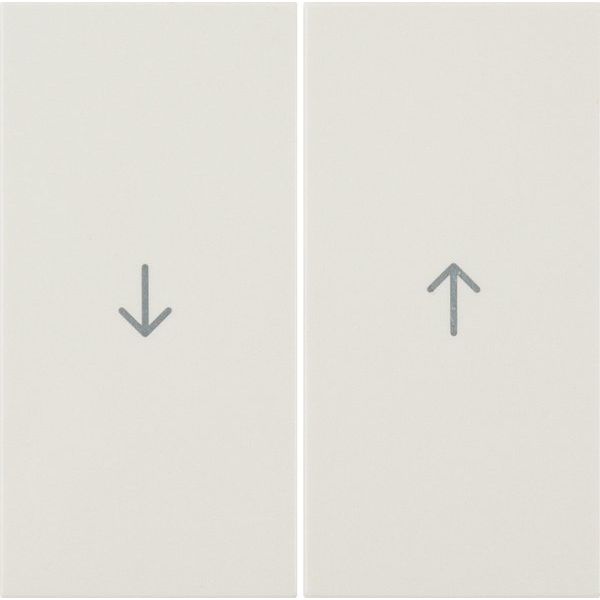 Berker - Abdeckung/Bedienelement für Installationsschalterprogramme Wippe ws/gl 16258982 Symbol Pfeil