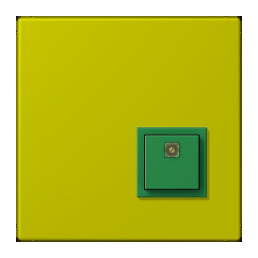 Jung - Behindertenelement für Installationsschalterprogramme Notrufsystem Abstelltaster NRS LC 0834 AT 249 vert olive vif
