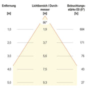 EVN Lichttechnik - Decken-/Wandleuchte LED-Anbauleuchte ALQ250102