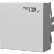 Homeway - WLAN-Access-Point Access Point HW-INAP6TCVW Wi-Fi 6, verkehrsws