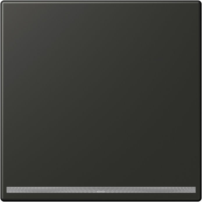 Jung - Orientierungsleuchte LED-Orientierungslicht AL 1539-OO AN LNW weiße LEDs