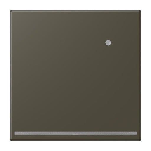 Jung - Orientierungsleuchte LED-Orientierungslicht LC 1539-O LNW 241
