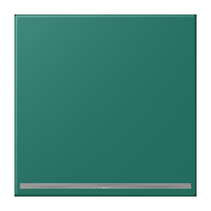 Jung - Orientierungsleuchte LED-Orientierungslicht LC 1539-OO LNW 216 vert anglais (32040)