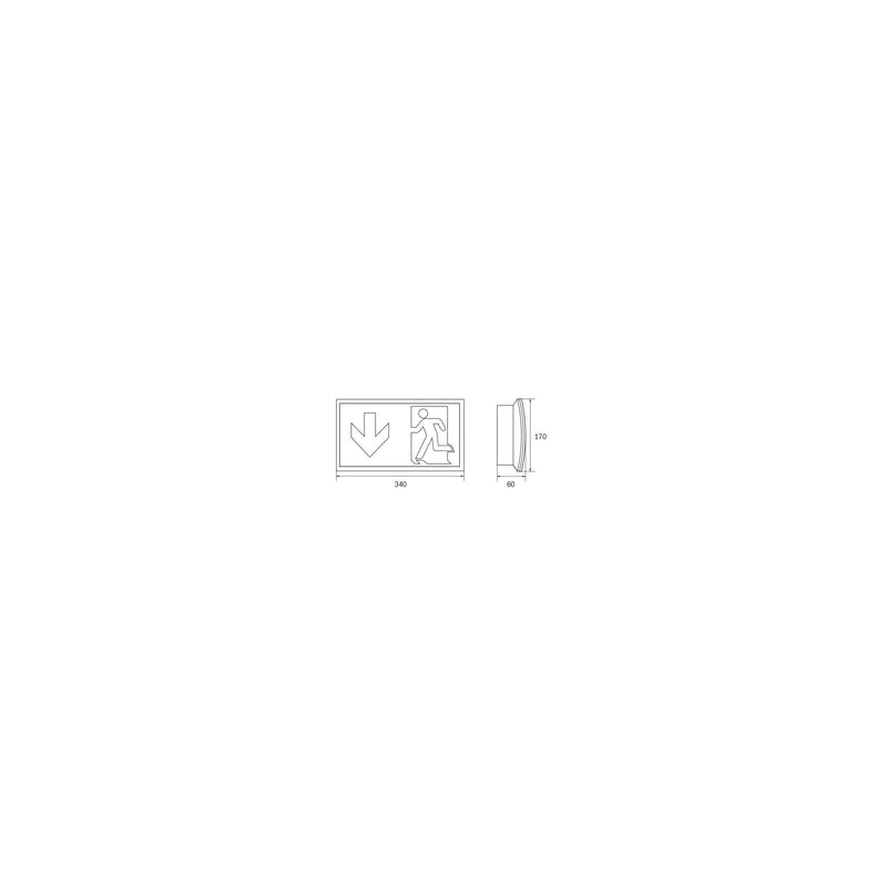 RP-Technik - Hinweisleuchte Sicherheitsleuchte KCW519CC