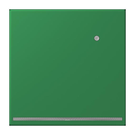Jung - Orientierungsleuchte LED-Orientierungslicht LC 1539-O LNW 219 vert fonce (32050)