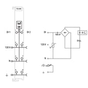 WAGO - Feldbus, Dez. Peripherie - Digitales Ein-/Ausgangs-Modul 2-Kanal-Digitaleingang 753-406 AC 120 V,lichtgrau