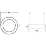 Brumberg Leuchten - Pendelleuchte LED-Pendel-Ringleuchte 13550183CA CAS., D600mm, H100mm