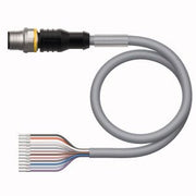 Turck - Konfektioniertes Sensor-Aktor-Kabel Aktuator- u. Sensorleitung RSC12T-2/TEG PVC