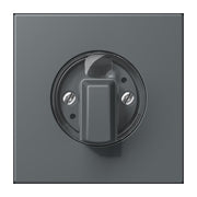 Jung - Abdeckung/Bedienelement für Installationsschalterprogramme Abdeckung für Drehschalter LC 1941 202 gris fonce 31