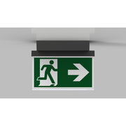 RP-Technik - Sicherheitsleuchte LED-Rettungszeichenleuchte AXD401SC-AZ EB 1h, SC, anthr