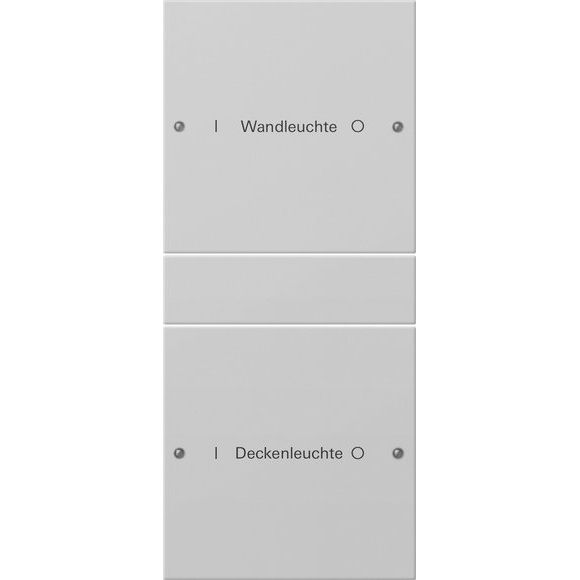 Gira - Bussystem-Tastwippe Wippenset 2-f. 2202015 1+1 beschr.gr lack