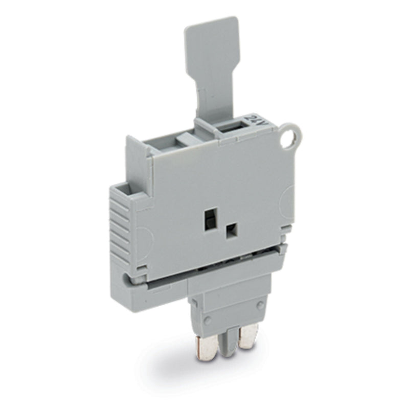 WAGO - Bauelementestecker Sicherungsstecker 2004-911/1000-541 m.Lasche − 50 Stück