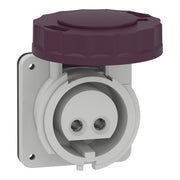 Schneider Electric - CEE-Anbausteckdose (IEC 60309) Industriesteckdose 82951 gerade, 16A, 2-polig