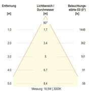 EVN Lichttechnik - Decken-/Wandleuchte LED-Deckeneuchte DSR54180125 CCT Switch, ML