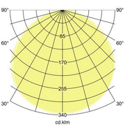 Brumberg Leuchten - Decken-/Wandleuchte LED-Wandleuchte 10224103 3000K, graphit