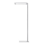 Waldmann Light - Stehleuchte LED-Stehleuchte 00812470 840