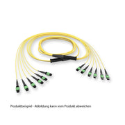 Corning - System-Patchkabel LWL EDGE8 Trunkkabel 30m GE7E796GLZDDU030M 50µm SM OS2 96F MTP