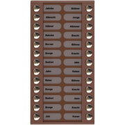 TCS Tür Control - Montageelement für Türstation Audioaußenstation 2-reihig PET26-EB/04 Erw.26 Tasten bronze