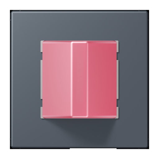 Jung - Behindertenelement für Installationsschalterprogramme Notrufsystem Rufmodul NRS LC 0834 RM 262 gris fonce 59