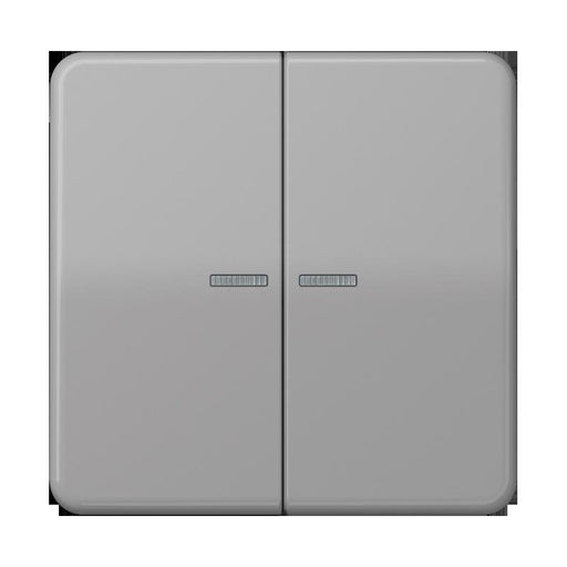 Jung - Bedienelement intelligent Taster 2fach BT CD 17102 GR JUNG HOME