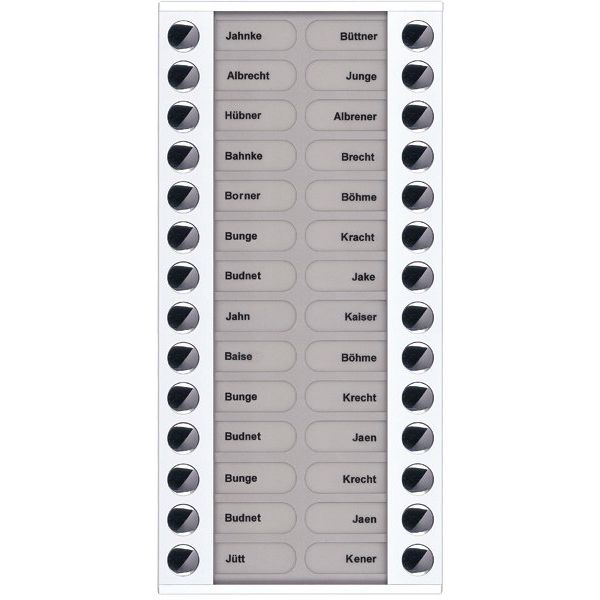 TCS Tür Control - Montageelement für Türstation Audioaußenstation 2-reihig PET28-WS/04 Erw.28 Tasten AP ws