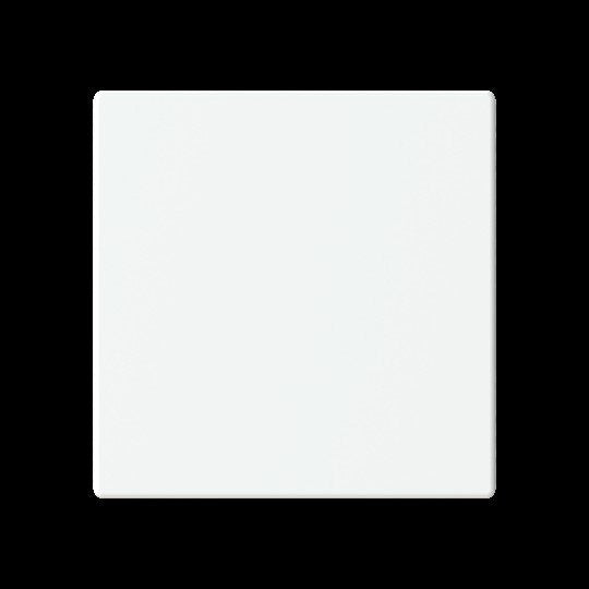 Busch-Jaeger - Bussystem-Tastwippe Abdeckung, 1-fach LFW/A.1.63.11-884 für Keypad