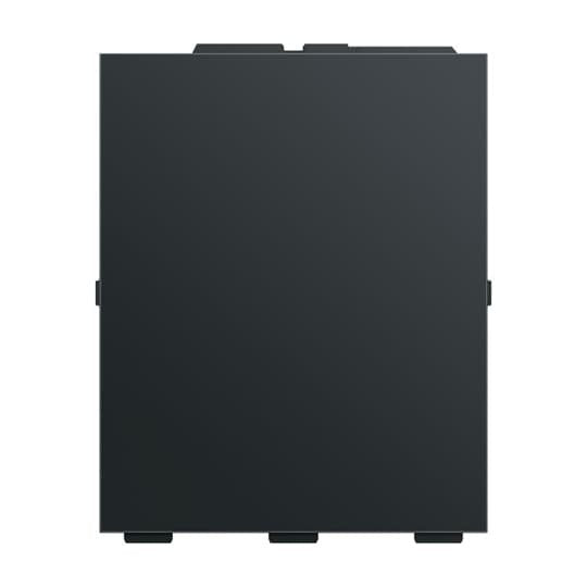Busch-Jaeger - Halterung für Bezeichnungsmaterial Abdeckung BE SLS/A.0.11-885 klein, schwarz matt