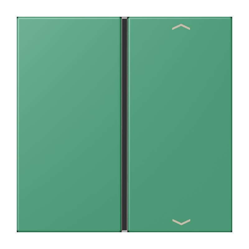 Jung - Abdeckung/Bedienelement für Installationsschalterprogramme Taste 1fach m. Pfeilsymb. LC 401 TSAP 250 vert 59