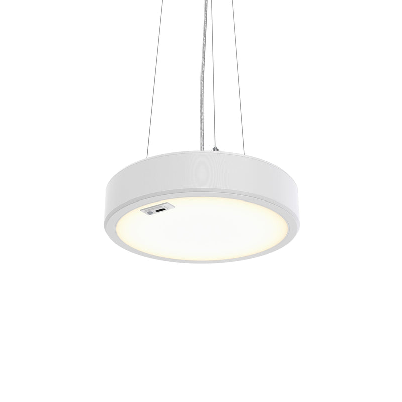 Philips Lighting - Pendelleuchte 3D-LED-Leuchte TCBRMP 19S #86431300 940
