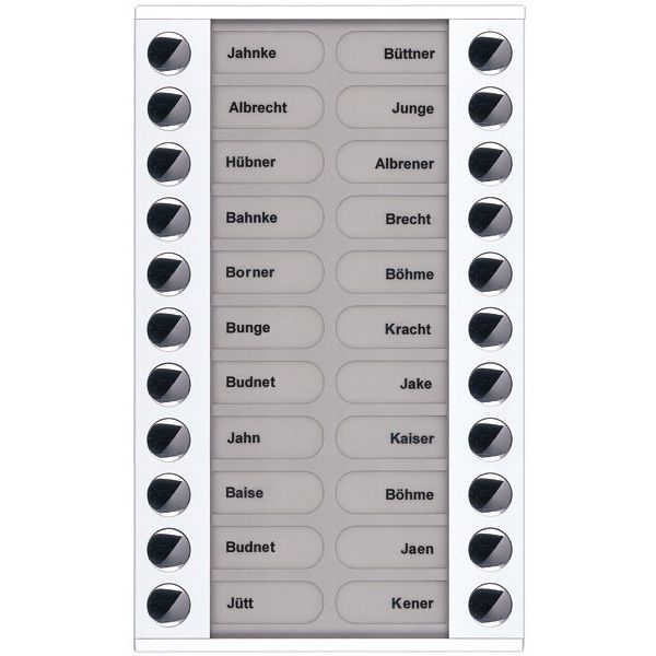 TCS Tür Control - Montageelement für Türstation Audioaußenstation 2-reihig PET22-WS/04 Erw.22 Tasten AP ws