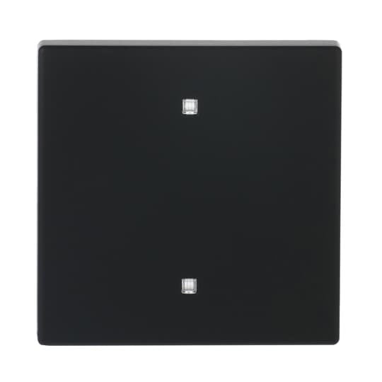 Busch-Jaeger - Abdeckung/Bedienelement für Installationsschalterprogramme Wippe 2570-10-885 Elektroniktaster
