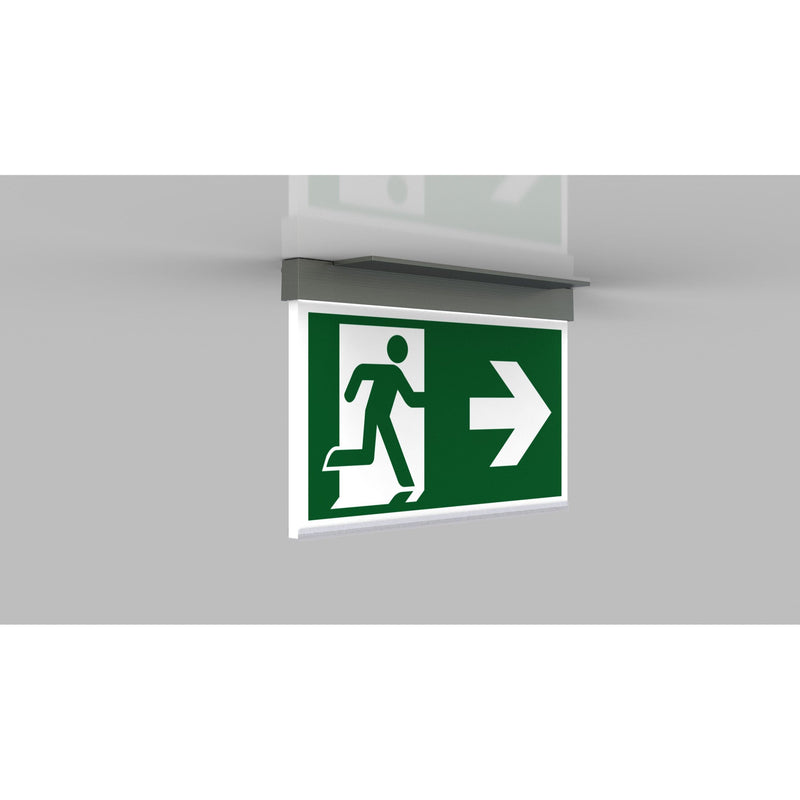 RP-Technik - Sicherheitsleuchte LED-Rettungszeichenleuchte AMC401SC-E EB 1h, SC, eds-opt