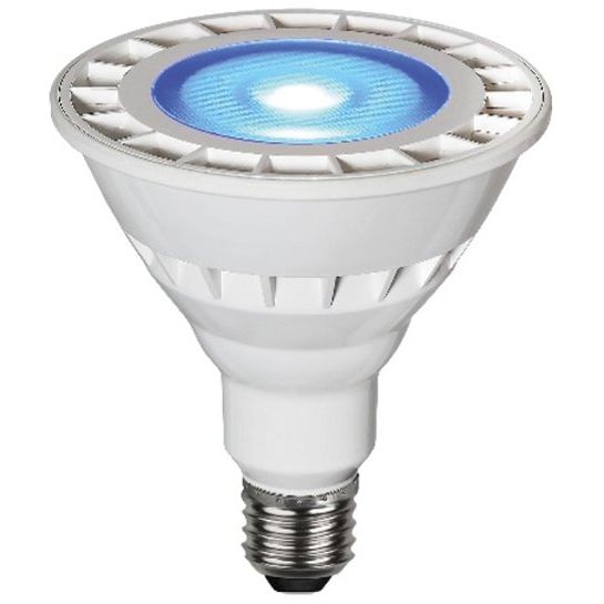 Scharnberger+Hasenbein - LED-Lampe/Multi-LED LED-Reflektorlampe PAR38 88747 230V blau 35° IP65