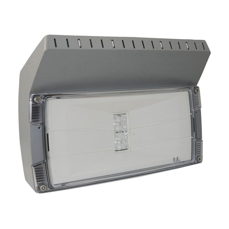 Ceag Notlichtsysteme - Sicherheitsleuchte LED-Einzelbatterie-Leuchte OutdoorWall CGLine+H m.autom. Funkt.test