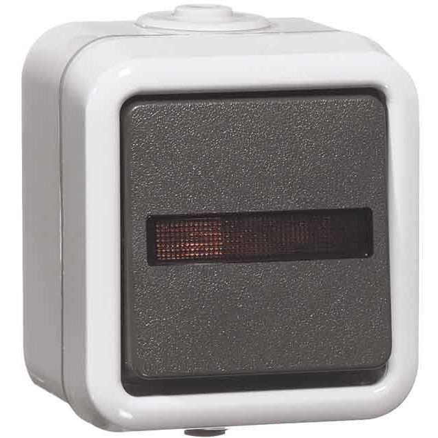 Peha - Installationsschalter Wippschalter D 622 WAB GLK Kontrolll.10A 250V