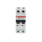 ABB Stotz S&J - Leitungsschutzschalter Sicherungsautomat S202-C100 6kA, 100A, 2P
