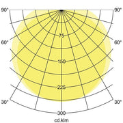 Brumberg Leuchten - Decken-/Wandleuchte LED-Feuchtraumleuchte 78013114 1490mm 4000K