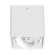 EVN Lichttechnik - Downlight/Strahler/Flutlicht Hochvolt Deckenleuchte 944001