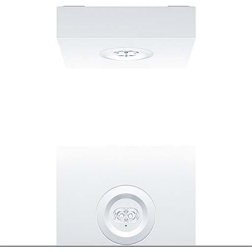 Zumtobel Group - Sicherheitsleuchte Sicherheitsleuchte RESCLITE #42185712 weiß