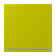 Jung - Orientierungsleuchte LED-Orientierungslicht LC 1539-OO LNW 249