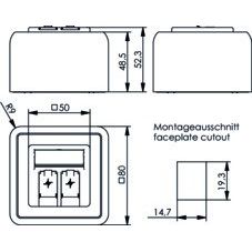 Telegärtner - Kommunikationsanschlussdose Kupfer Modulaufnahme 100021396 80x80, 2-fach AP
