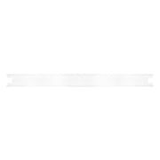 Ledvance - Lichttechnisches Zubehör/Ersatzteile für Leuchten Tragschieneneinsatz TRUSYS#4099854230196 f. T5-LED-Tube