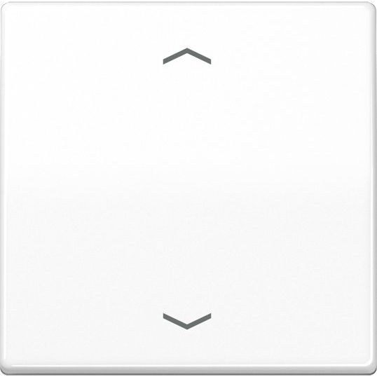 Jung - Abdeckung/Bedienelement für Installationsschalterprogramme Wippe Symbole aws AS 591 P WW für Taster