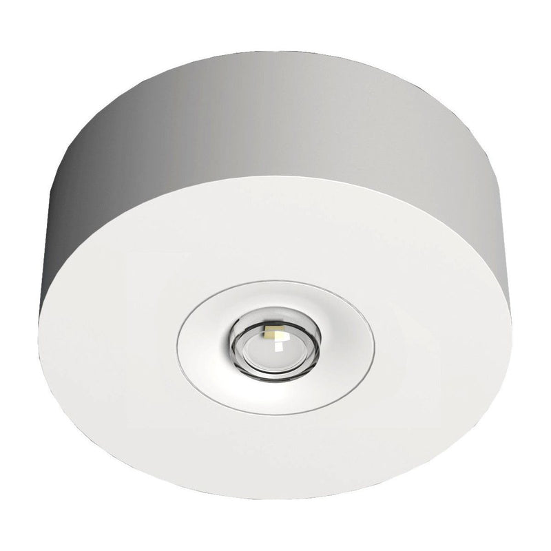 RP-Technik - Sicherheitsleuchte LED-Sicherheitsleuchte EARL421WL Decke, Linsen, rund