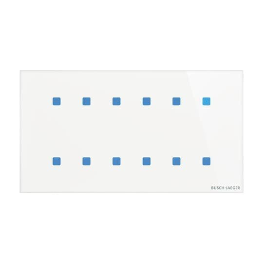 Busch-Jaeger - Bussystem-Tastsensor Touch-Bedienelement TB/U12.8.11-CG 12-fach