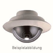 TCS Tür Control - Externe Kamera für Türkommunikation IP-Kamera - Dome, Einbau H-IP-KAM-D-EB