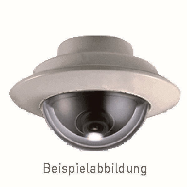 TCS Tür Control - Externe Kamera für Türkommunikation IP-Kamera - Dome, Einbau H-IP-KAM-D-EB