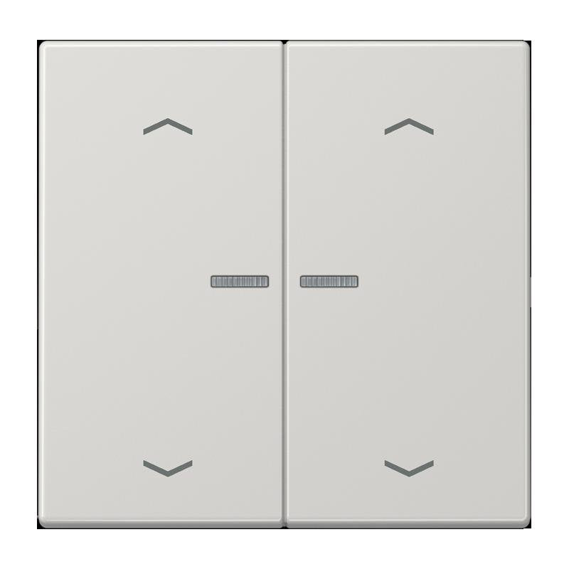 Jung - Bedienelement intelligent Taster 2fach BT LS 17102 P LG JUNG HOME